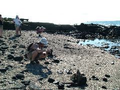 DSCF1497.JPG