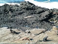 DSCF1511.JPG