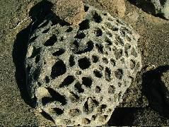 DSCF1522.JPG