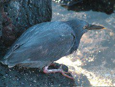 DSCF1525.JPG