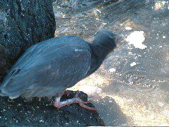 DSCF1527.JPG