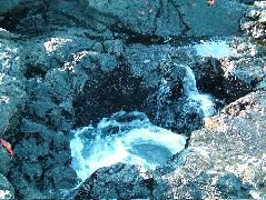 DSCF1530.JPG