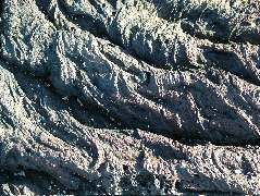 DSCF1531.JPG
