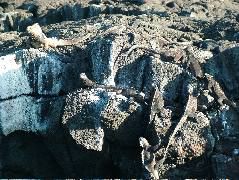 DSCF1536.JPG