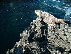 DSCF1541.JPG