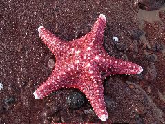 DSCF1548.JPG