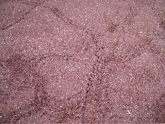 DSCF1549.JPG