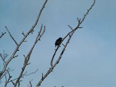 DSCF1555.JPG