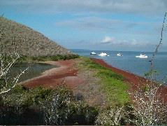 DSCF1557.JPG