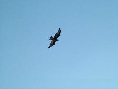 DSCF1558.JPG