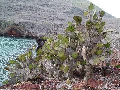 DSCF1562.JPG
