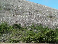 DSCF1567.JPG