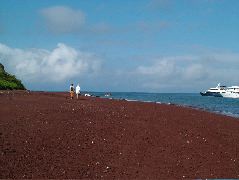 DSCF1568.JPG