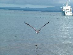 DSCF1571.JPG