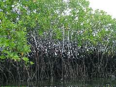 DSCF1586.JPG