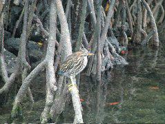 DSCF1588.JPG