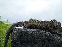 DSCF1589.JPG