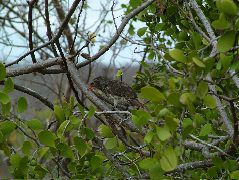 DSCF1614.JPG