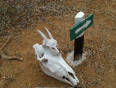 DSCF1620.JPG