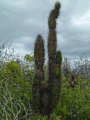 DSCF1625.JPG