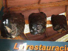 DSCF1634.JPG