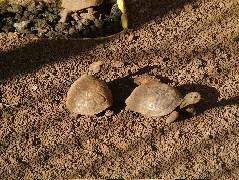 DSCF1645.JPG