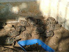 DSCF1648.JPG