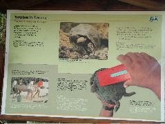 DSCF1653.JPG