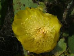 DSCF1657.JPG
