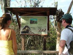DSCF1661.JPG