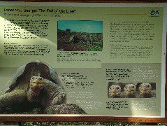 DSCF1662.JPG