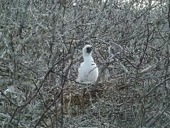 DSCF1205.JPG