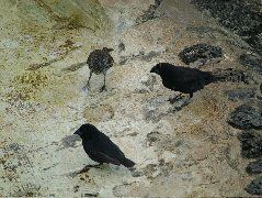 DSCF1690.JPG