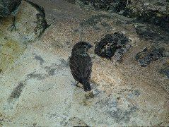 DSCF1703.JPG