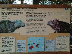 DSCF1709.JPG