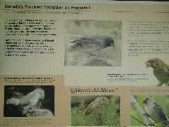 DSCF1710.JPG