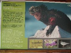 DSCF1713.JPG
