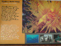 DSCF1714.JPG