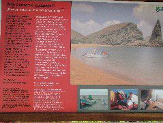 DSCF1715.JPG