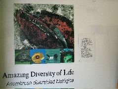 DSCF1716.JPG