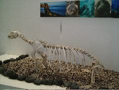 DSCF1718.JPG