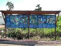 DSCF1720.JPG