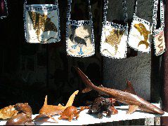 DSCF1727.JPG