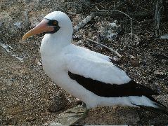 DSCF1215.JPG