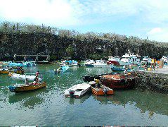 DSCF1738.JPG