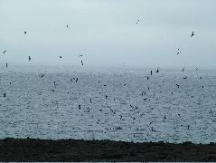 DSCF1216.JPG