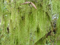 DSCF1757.JPG