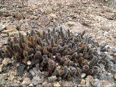 DSCF1224.JPG