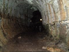 DSCF1784.JPG