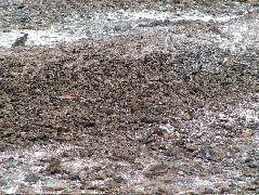 DSCF1225.JPG